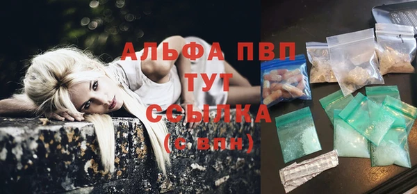таблы Бородино